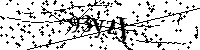 Пожалуйста, введите буквы и числа ниже
