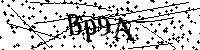 Пожалуйста, введите буквы и числа ниже