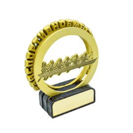  Академическая гребля