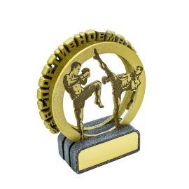 Тайский бокс