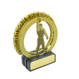 Гиревой спорт