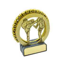 Кикбоксинг