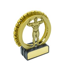 Культуризм М