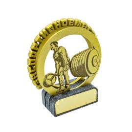 Тяжелая атлетика М